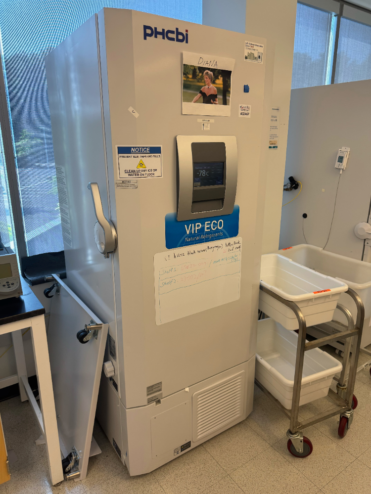 Image of PHCBI -80 Ultra Low Temp Freezer